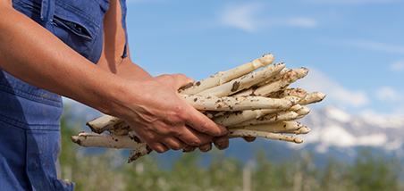 Margarete - Terlaner Spargel