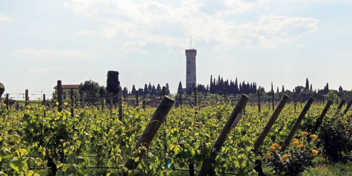 CAVALIERE DEL GARDA SRL