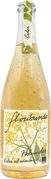 Apfelcider Holunder "Floribunda" Bio - 0.75l - Floribunda 