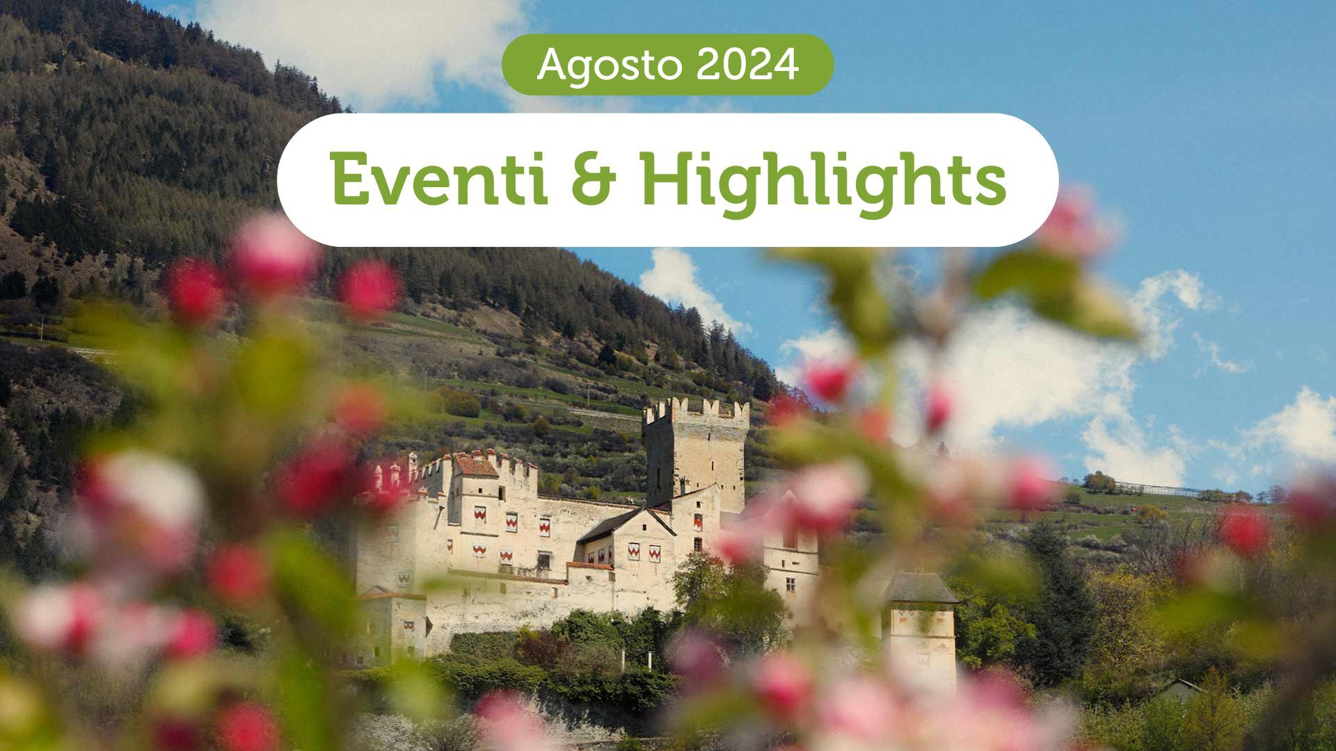 https://www.pursuedtirol.com/it/su-di-noi/magazine/blog/eventi-in-alto-adige-a-agosto