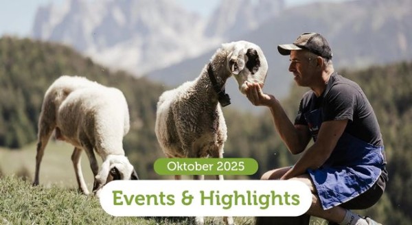 Den Herbst feiern: Südtirols Top-Events