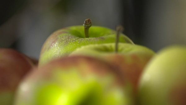 Der Sommer kann kommen