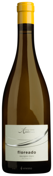 Sauvignon "Floreado" 2024 - 0.75l - Kellerei Andrian