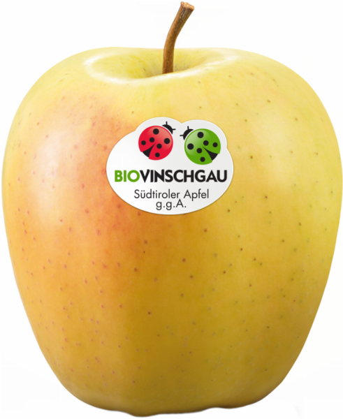 Golden Delicious Apfelkiste Bio - 2kg - Bio Äpfel aus dem Vinschgau - VI.P 