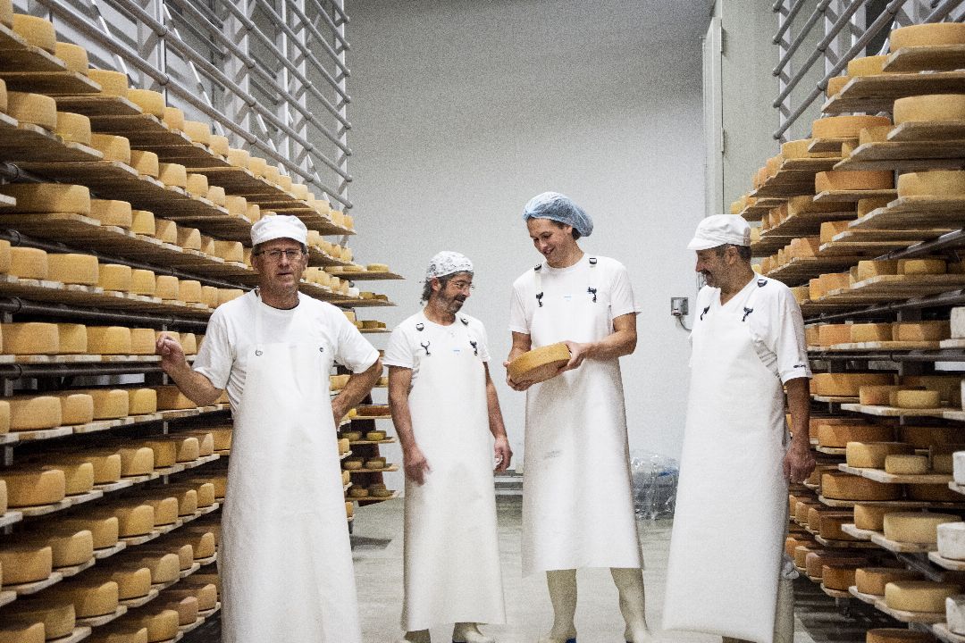 Sortenorganisation Bündner Bergkäse