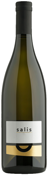 Sauvignon Blanc "Salis" 2019 - 0.75l - Weingut Oberstein