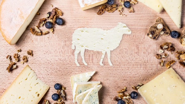 Südtiroler Schafkäse im Mittelpunkt