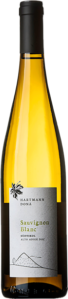 Sauvignon Blanc 2022 - 0.75l - Weingut Hartmann Dona