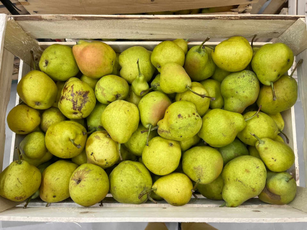 Palabirne: der süße Schatz aus dem Vinschgau