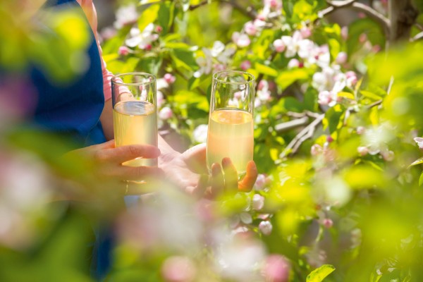 Südtiroler Apfelsaft: Bio - Naturtrüb - Gourmet