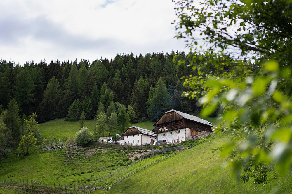 HOFKÄSEREI GOASGLICK