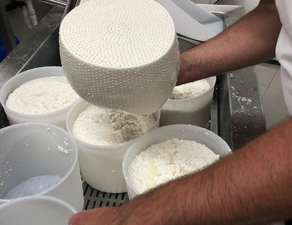 HOFKÄSEREI GOASGLICK