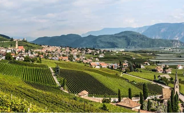 Termeno vista dei vigneti