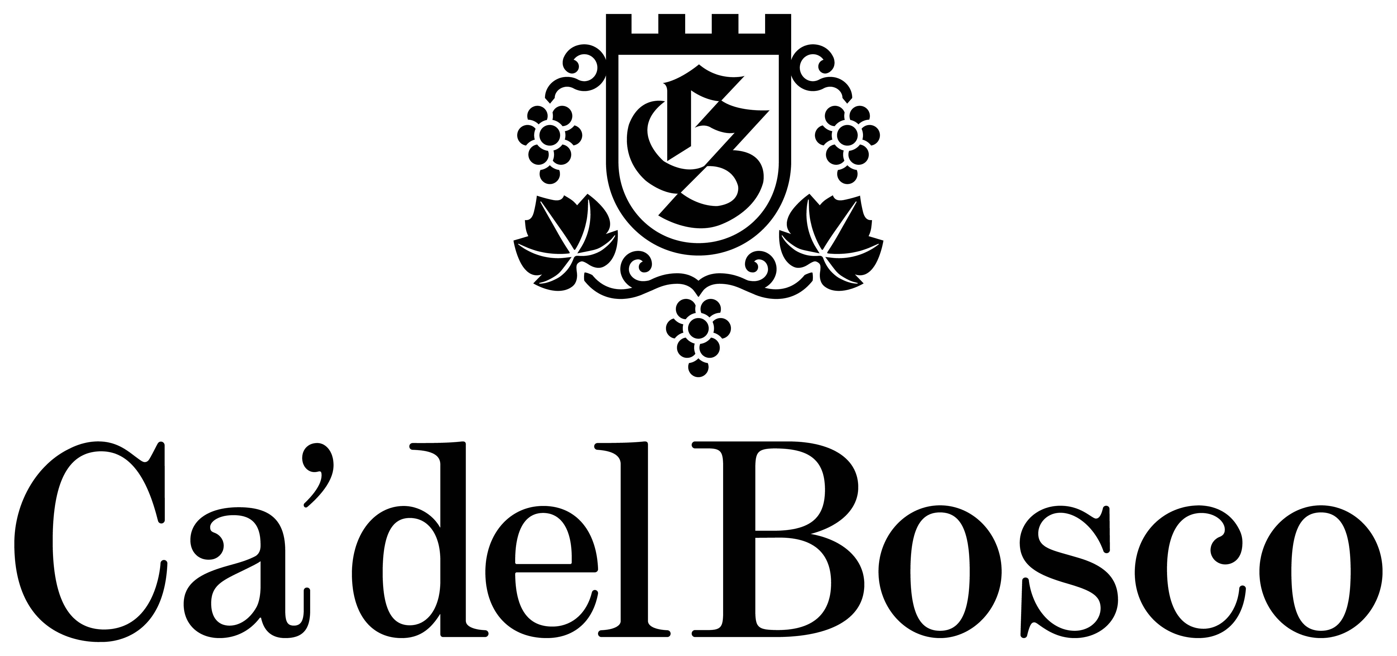 CA'DEL BOSCO SRL Logo