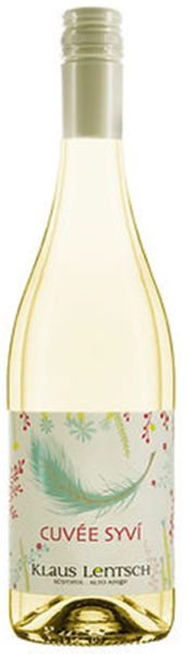 Grüner Veltliner "Syvi" 2024 - 0.75l - Weingut Klaus Lentsch
