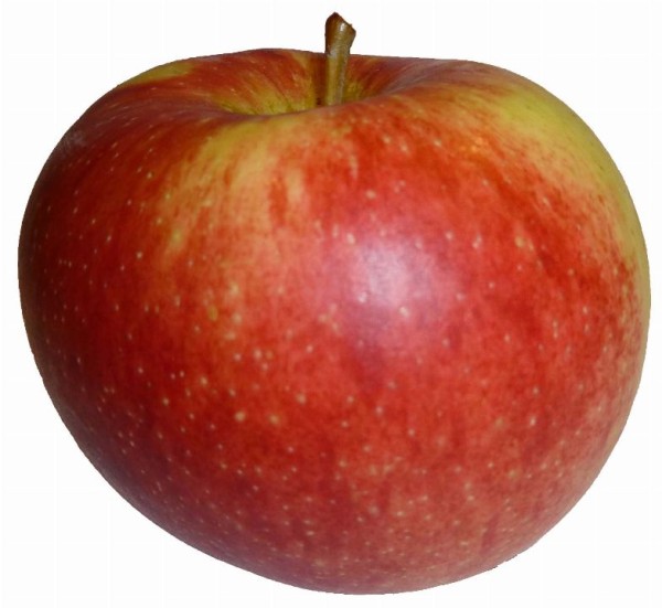 Dalinbel Apfelkiste Bio - 2kg - Bio Äpfel aus dem Vinschgau - VI.P 