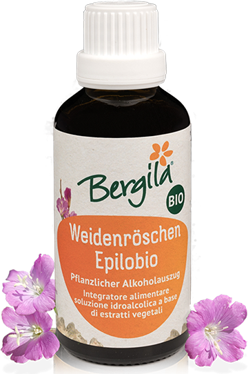 Weidenröschen Tinktur Bio - 50ml - Bergila