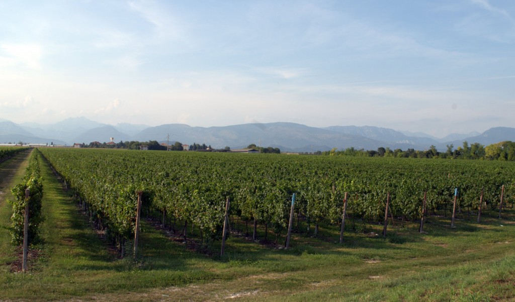Borgo Magredo