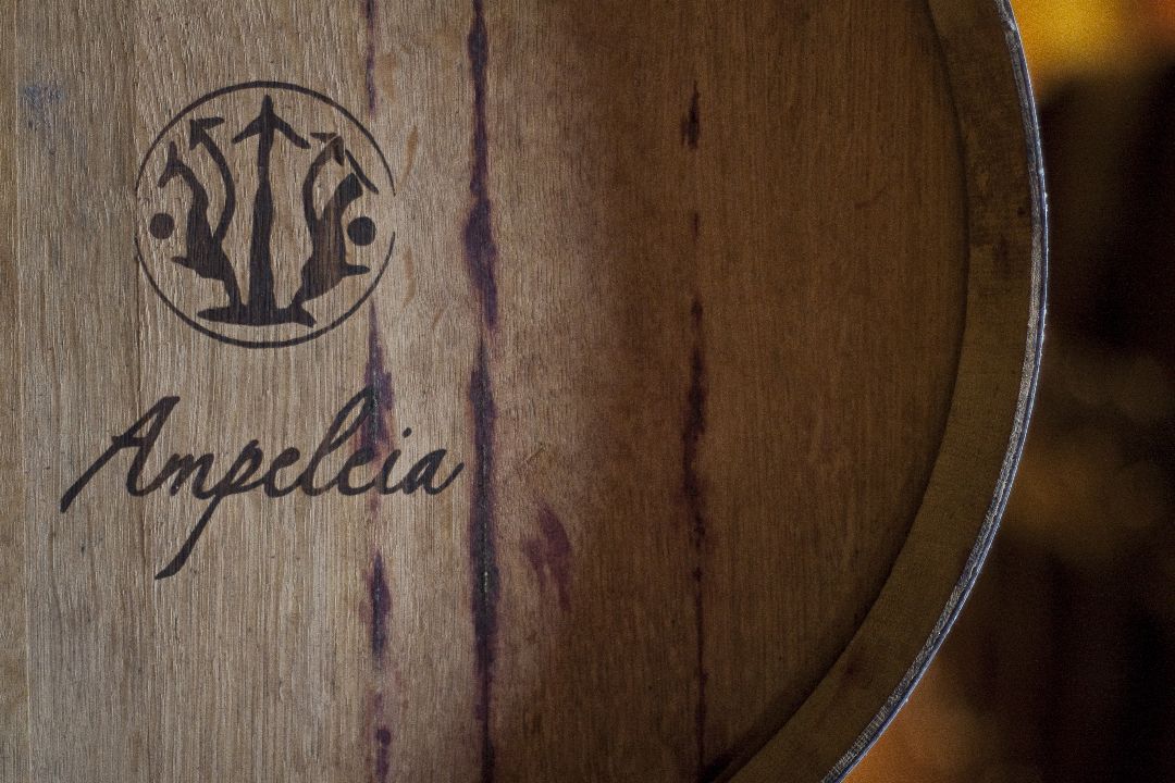 Ampeleia Onlineshop - Pur Südtirol®