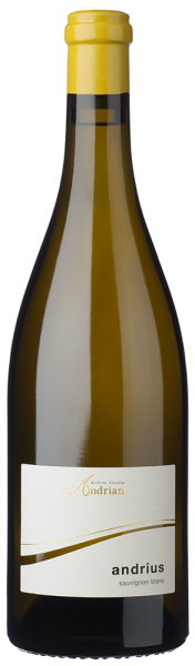 Sauvignon "Andrius" 2024 - 0.75l - Kellerei Andrian