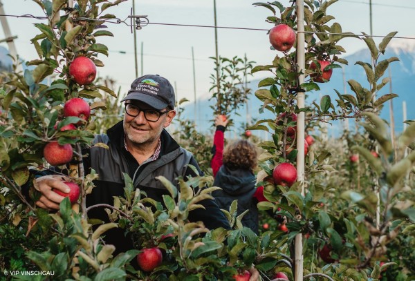 Very important Apfel? Ernte gut, alles gut!