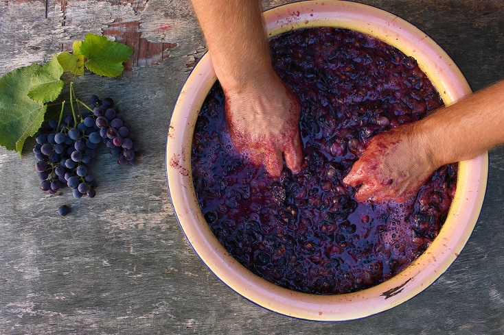 Wein beim Fermentieren