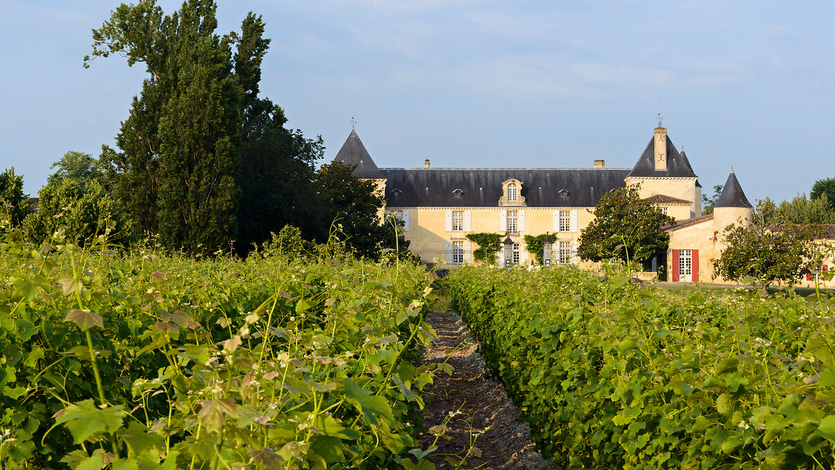 Chateau Suduiraut