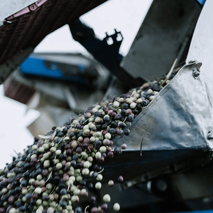 FAMIGLIA POMPONIO SAS DI POMPONIO ANTONIO NICOLA