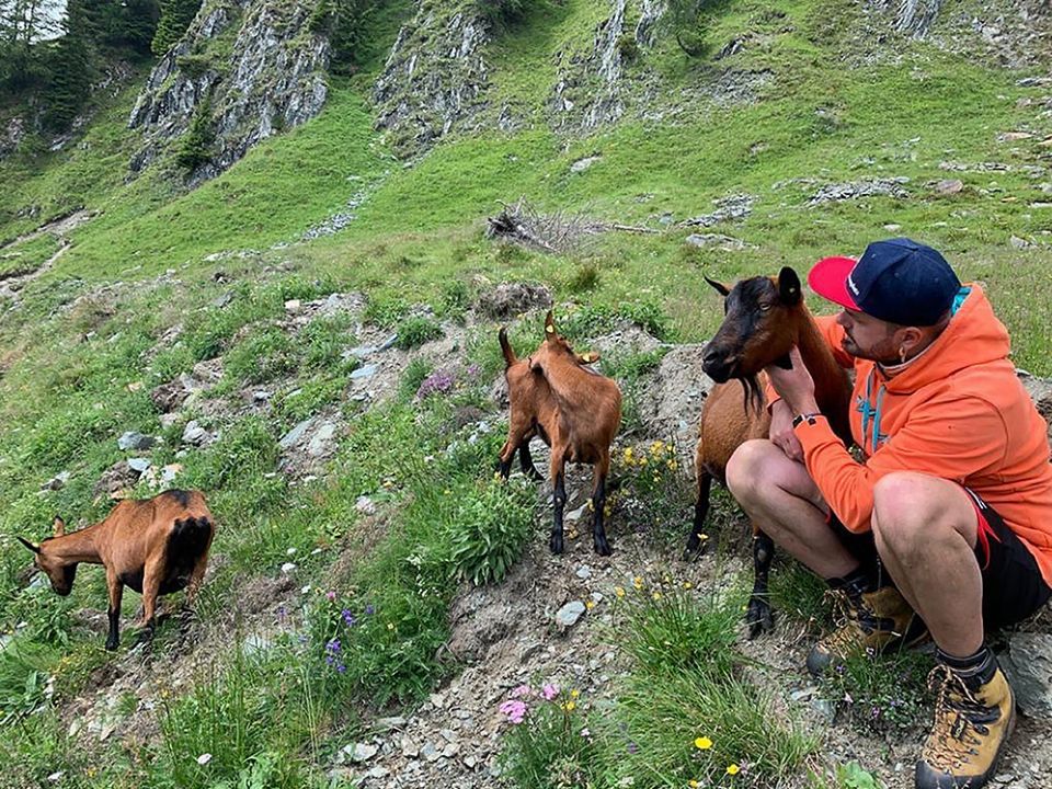 HOFKÄSEREI GOASGLICK