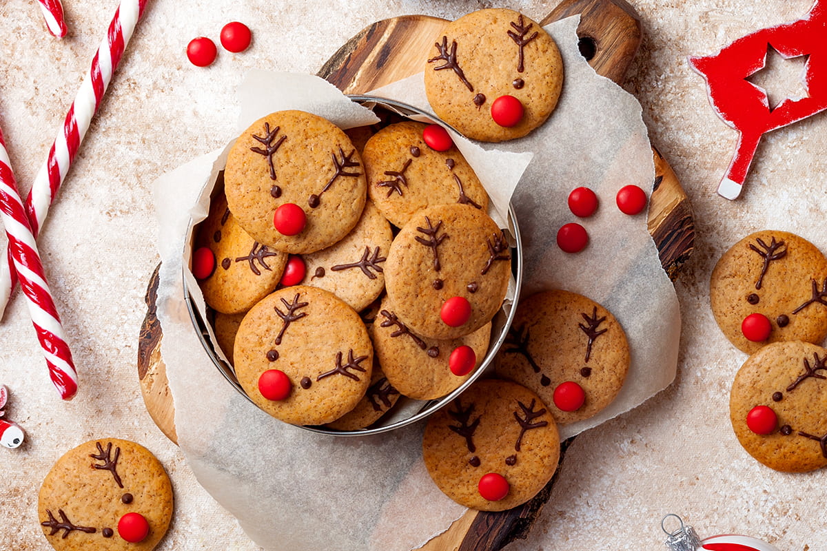 https://www.pursuedtirol.com/it/su-di-noi/magazine/ricette/biscotti-renna-dolci-natalizi-adorabili-per-tutta-la-famiglia