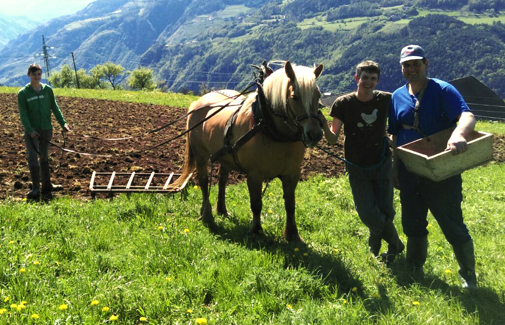 Obermalidhof Malfertheiner Max