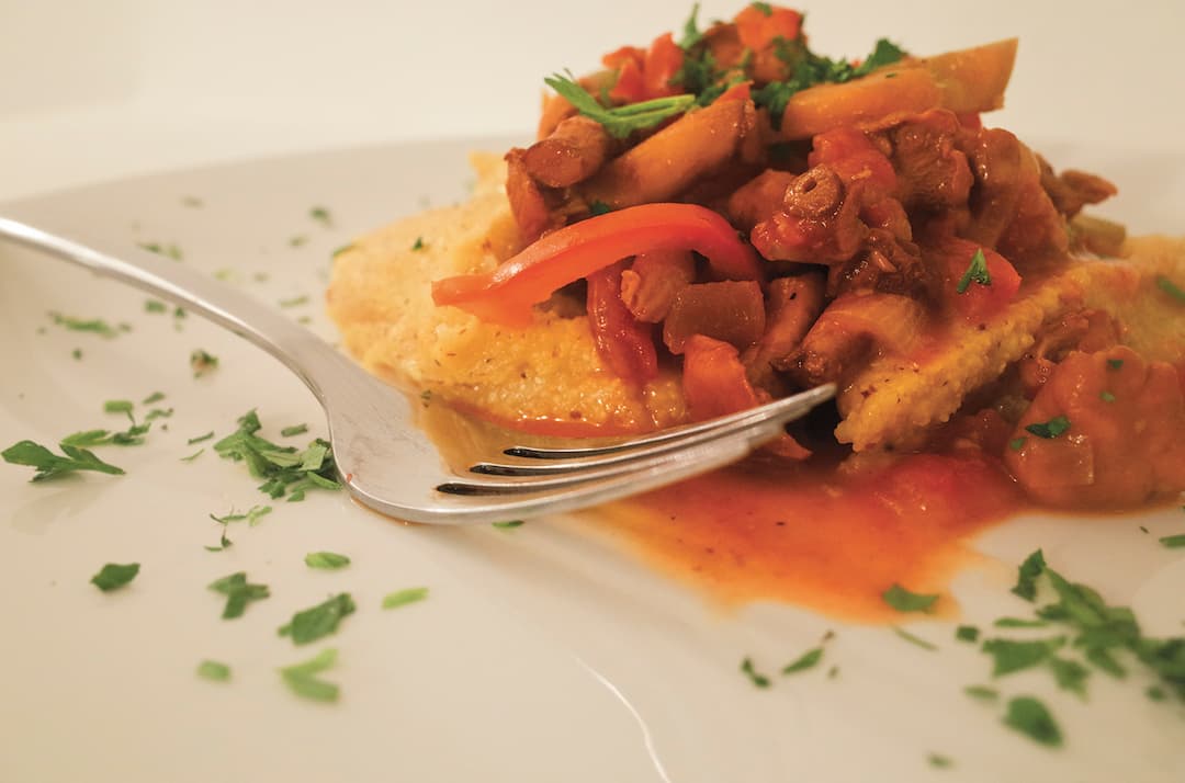https://www.pursuedtirol.com/it/su-di-noi/magazine/ricette/polenta-ai-finferl