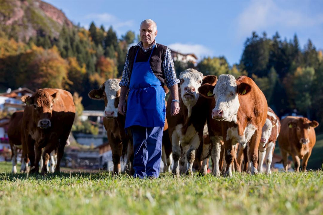 https://www.pursuedtirol.com/it/su-di-noi/magazine/blog/carne-si-ma-con-consapevolezza