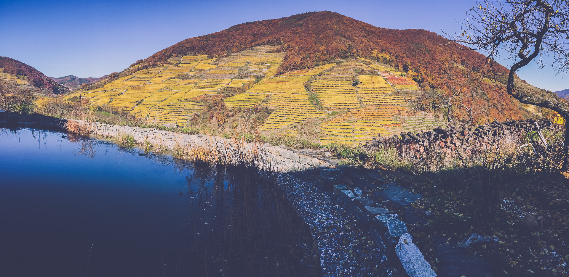 Weingut Malberg