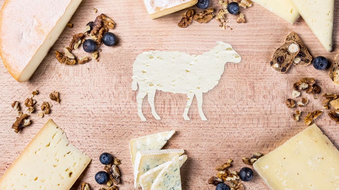 https://www.pursuedtirol.com/it/su-di-noi/magazine/blog/formaggio-al-latte-di-pecora-innovazione-e-tradizione