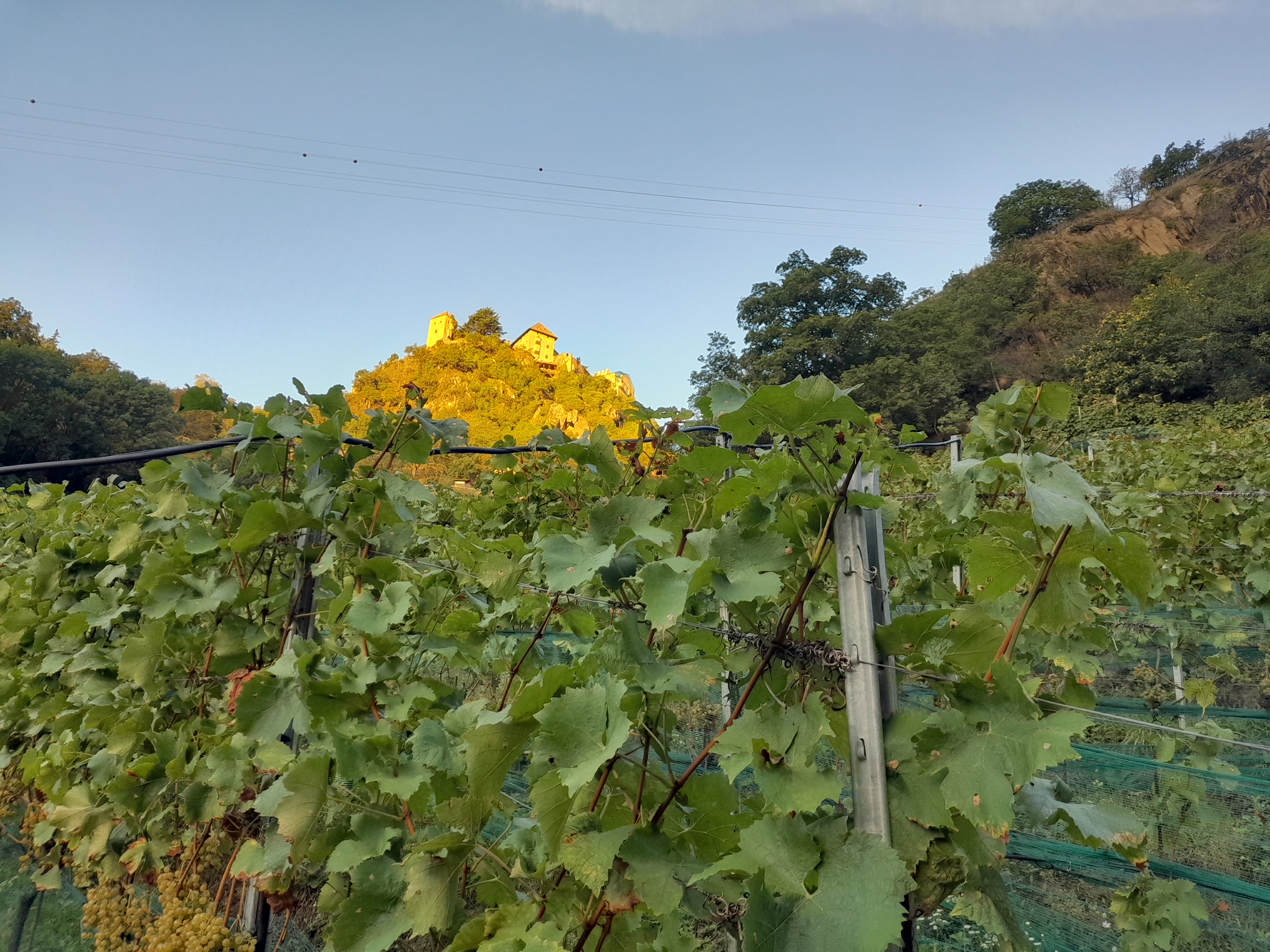 Weingut Unterortl Castel Juval