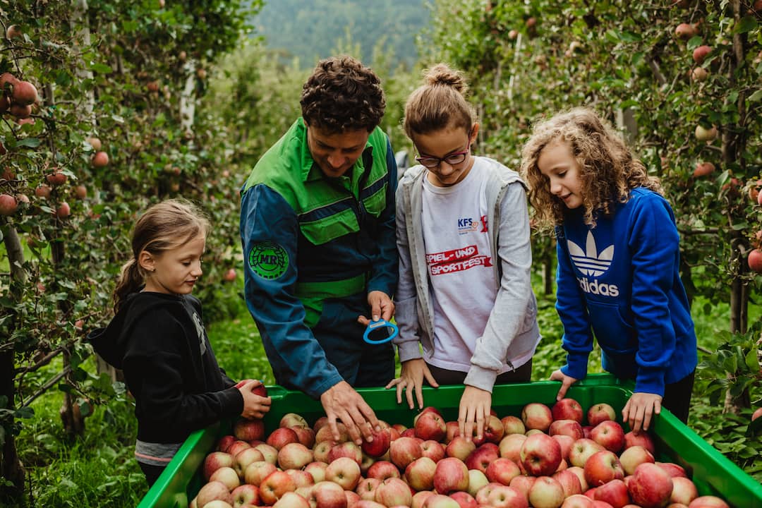 Kanzi Nicoter Apfelkiste Bio VI.P Obstgenossenschaft 2kg kaufen I Pur Südtirol®