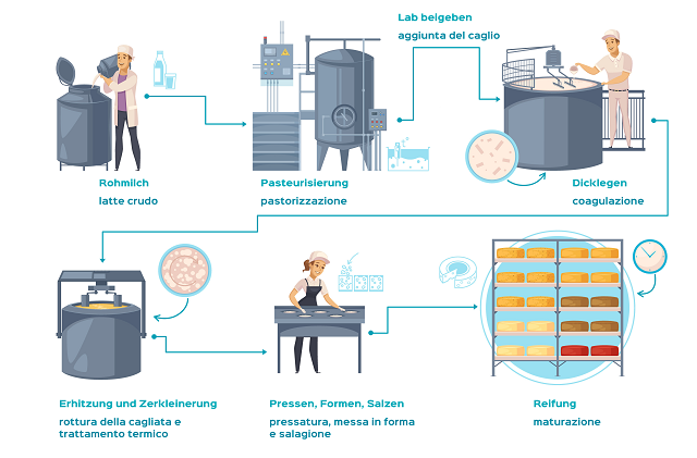 Käseherstellung