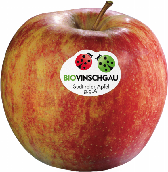 Cassetta di mele Jonagold Bio - 2kg - Bio Äpfel aus dem Vinschgau - VI.P 