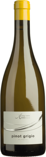 Pinot Grigio 2023 - 0.75l - Kellerei Andrian