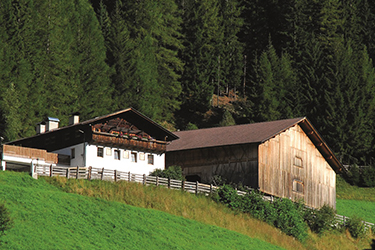 Sarntaler / Grammhof