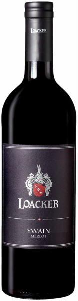 Merlot "Ywain" Bio 2024 - 0.75l - Weingut Loacker