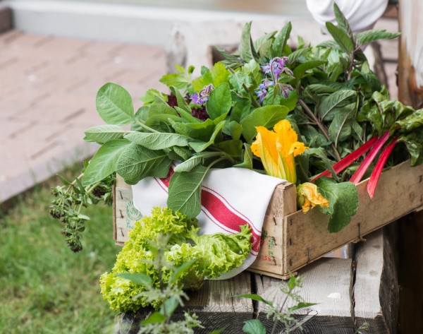 La natura, il più grande orto di erbe aromatiche
