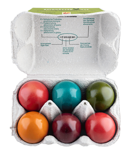 Uova di Pasqua sode e colorate - 6Stck. - Buchhütterhof