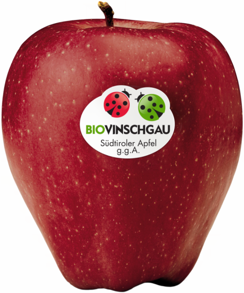 Cassetta di mele Red Delicious Bio - 2kg - Bio Äpfel aus dem Vinschgau - VI.P 