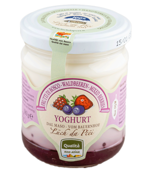 Waldbeer-Joghurt vom Bauernhof - 180g - Lüch da Pcëi