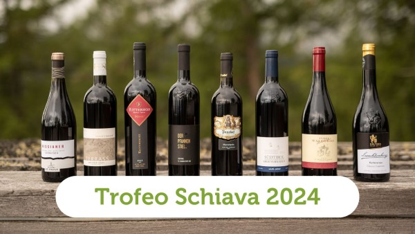 Trofeo Vernatsch 2024: I migliori vini Schiava dell