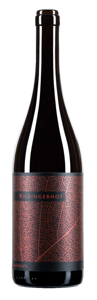 Vernatsch "Fraschiata" Bio 2022 - 0.75l - Weingut Riedingerhof