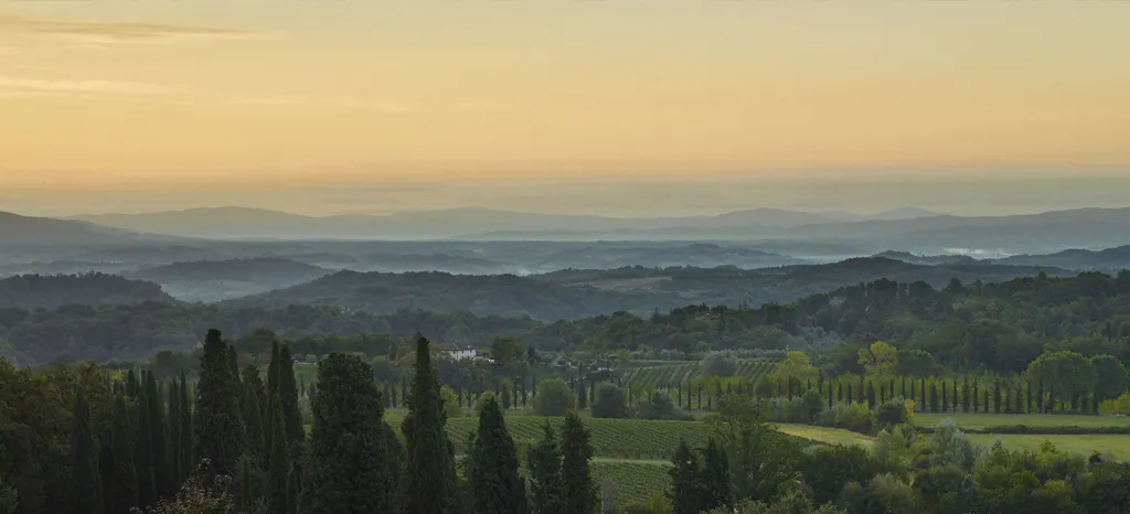 Tenuta il Palagio Srl