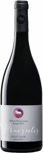 Blauburgunder "Praesulis" 2022 - 0.75l - Gumphof